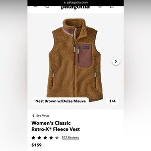 Patagonia Classic Retro Vest